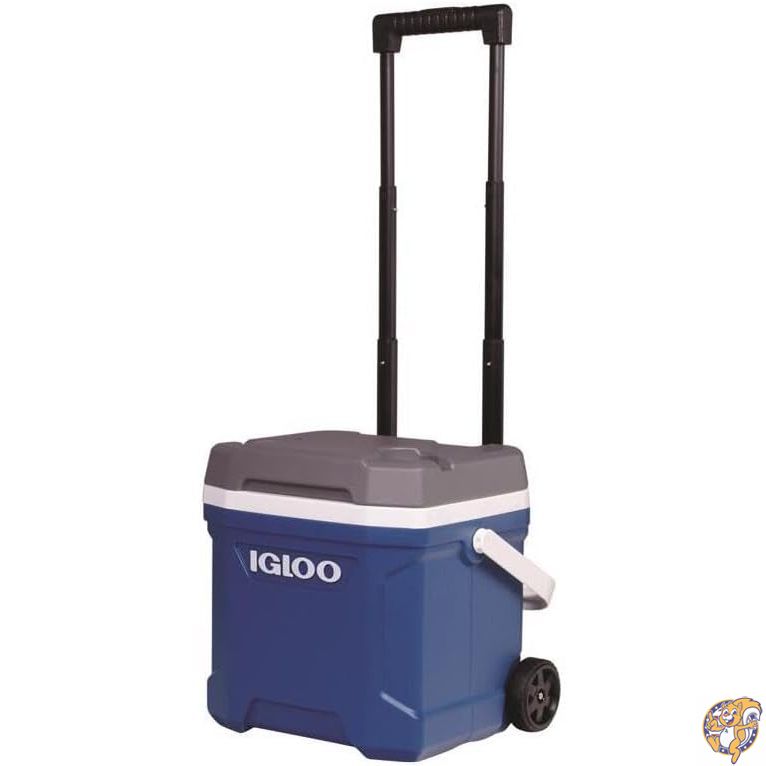 【最大777円クーポン配信】Igloo Latitude 16 ローラー (Indigo Blu.Wht.M-Gray.Wht) 00034825