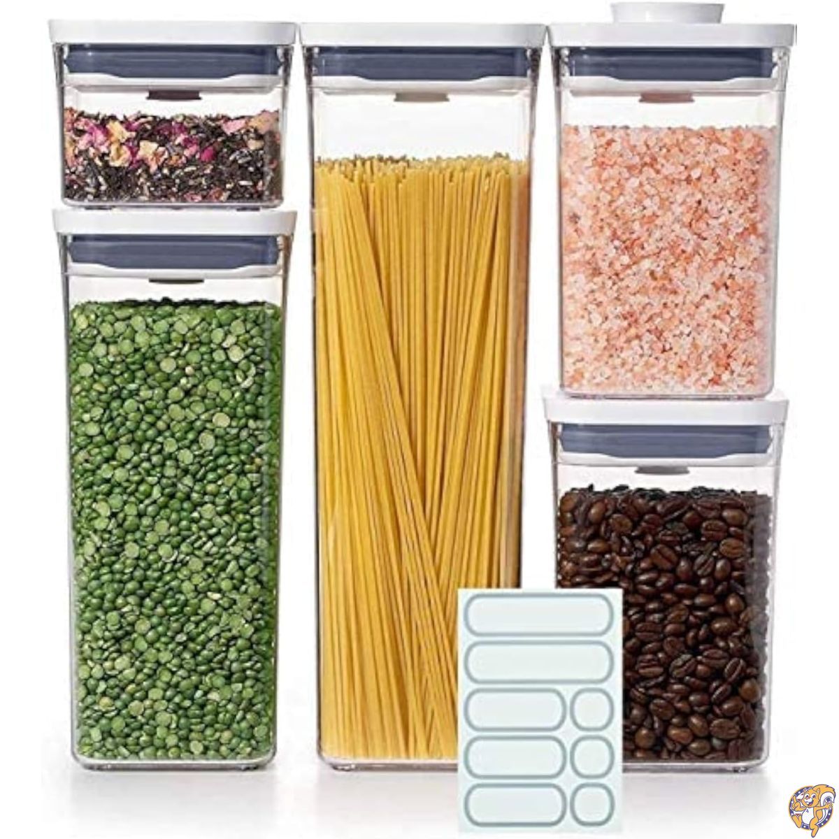 【百貨店大売り出し!引き換え証送達中】OXO (オクソー) Good Grips 受けが良い容れもの 5点書き割り（付け紙5枚付き添い人）