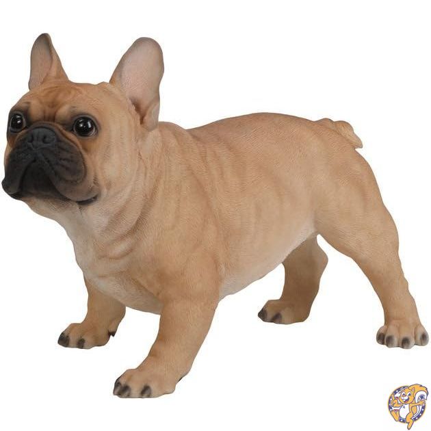 【引き換え証配達中】Hi-Line Gift Ltd Dog - フレンチブルドッグ-ラージ像 花・ガーデン・DIY-ガーデンオーナメント・置物