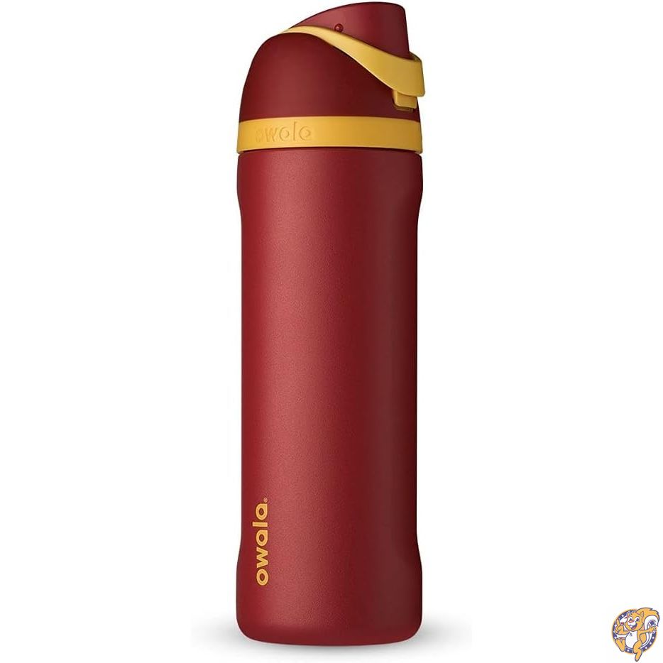 Owala Harry Potter FreeSip - Botella de agua aislada acero inoxidable con popote, botella deportiva sin BPA, ideal para viajes, 24 onzas, Gryffindor