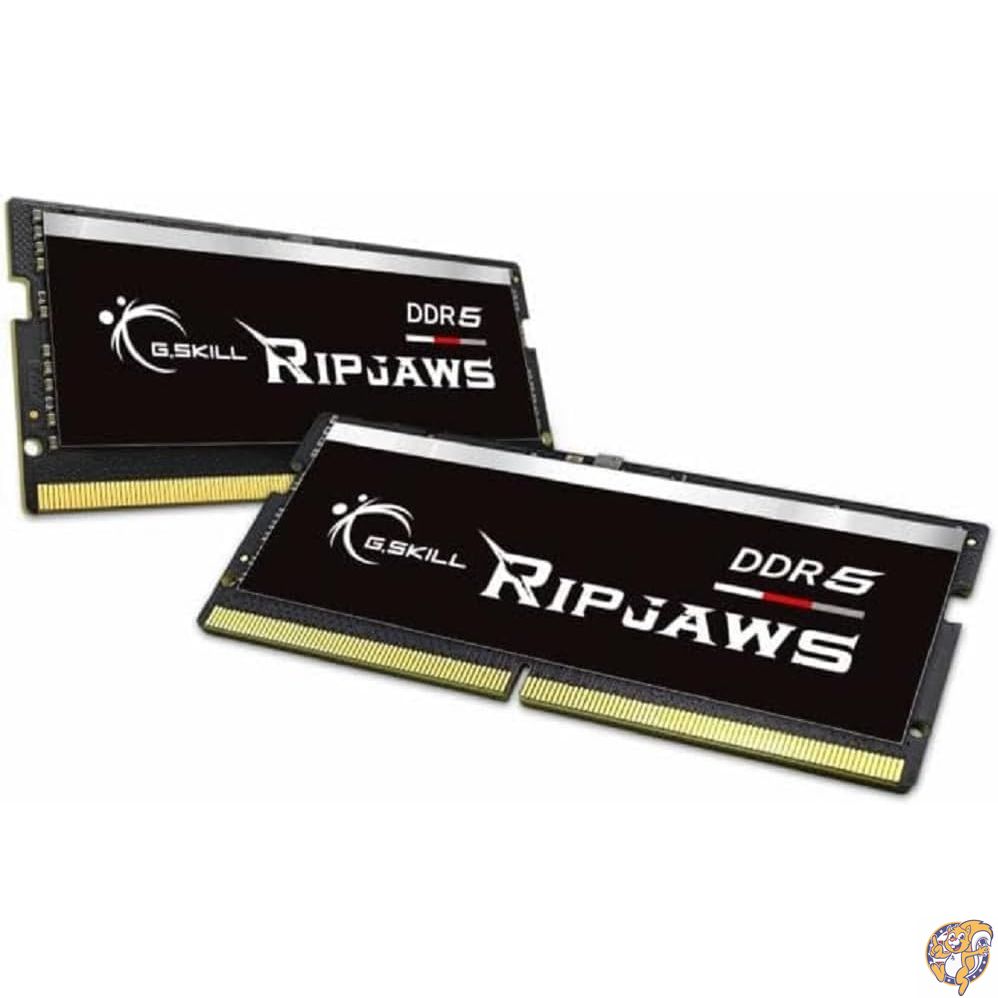 【百貨店大売り出し!クーポン券配達中】G.SKILL Ripjaws DDR5 SO-DIMM つづき物 ランダムアクセス記憶装置 32GB (2x16GB) 5600MT/s CL40-40-40-89 1.10V アンバッファード ノンECCノートパソ/ノートパソコンメモリ (F5-5600S4040A16GX2-RS)