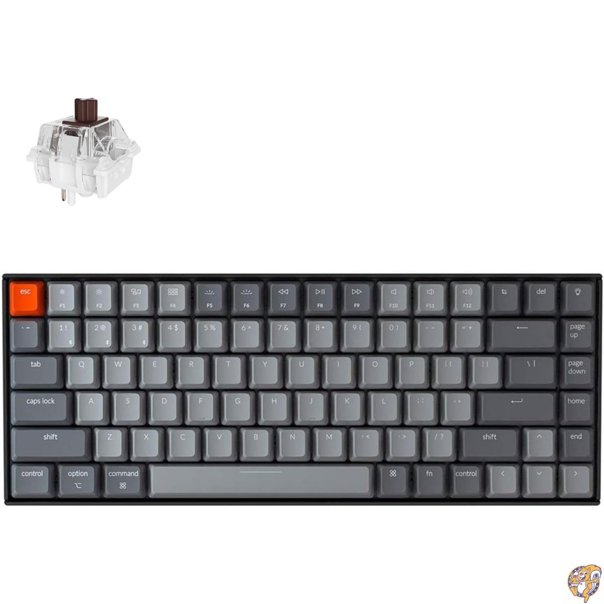 【百貨店大売り出し!クーポン券配達中】Keychron K2 75%レイアウト Bluetooth無線電話・力学的鍵盤 (Super軸/ホワイトバックライト/USB Type C/アンチ生きすだま/Nキーロールオーバー/84足がかり/Mac・Windows相応う・Version 2)