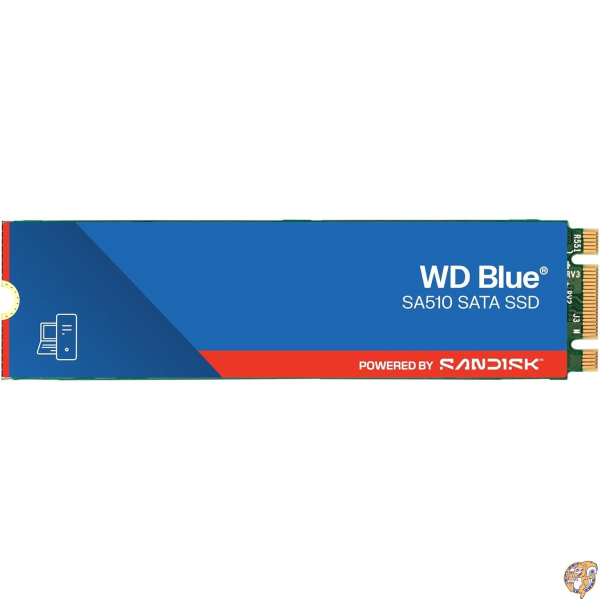 【クーポン配信中】Homos Western Digital 2TB WD Blue SA510 SATA 内蔵SSD - III 6Gb/s, M.2 2280, 最大読取速度560MB/秒 WDS200T3B0B|アメリカグッドバイブス