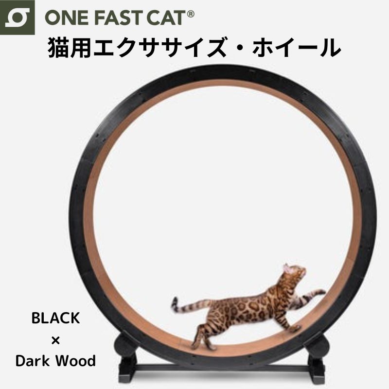 【楽天市場】ワンファストキャット ONEFASTCAT 猫用 エクササイズ ホイール キャットホイール ブラック×ブラック 回し車 キャットウォーク  猫 ねこ トレッドミル : アメリカ輸入ランド