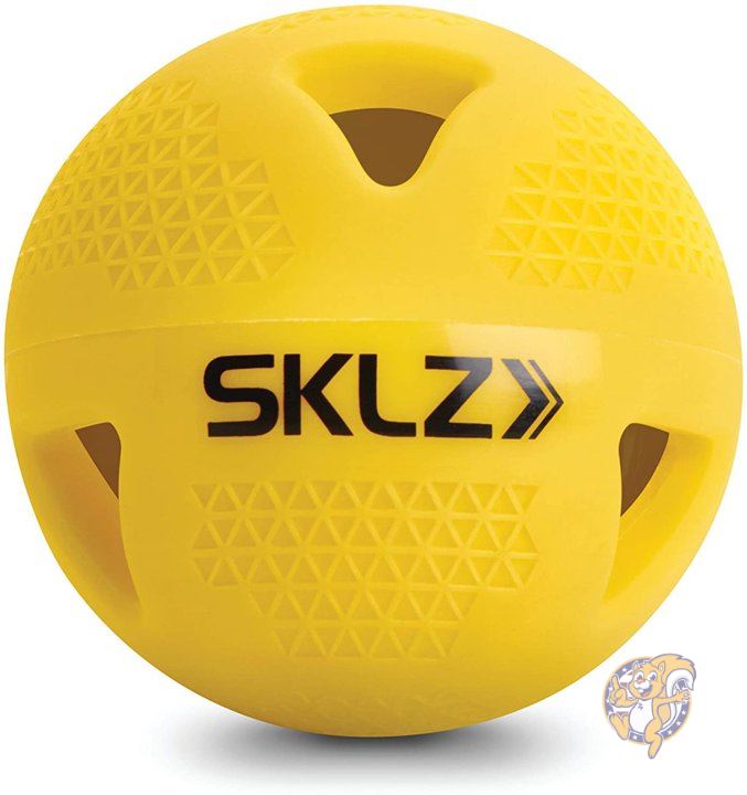 最大82%OFFクーポン 売れ筋がひクリスマスプレゼント トレーニンング用野球ボール SKLZ 212684 6パック 送料無料 ultrarunning-slovenia.com ultrarunning-slovenia.com