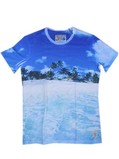 FRESH BRANDフレッシュブランド AQUA Tシャツ
