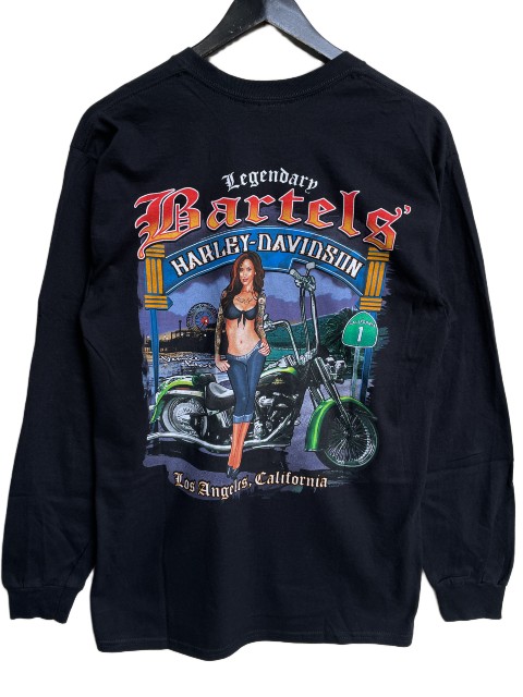 HARLEY-DAVIDSONハーレーダビッドソン\u003cBR\u003eWG SKULL LS ロンT black