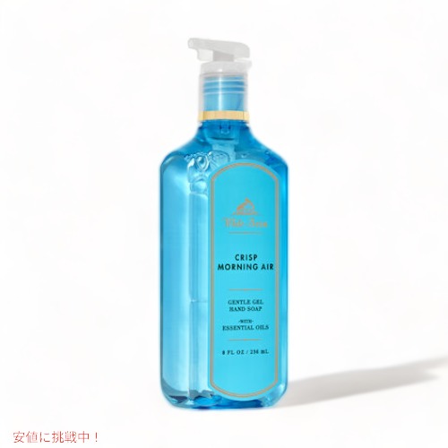 【最終値下げ】Bath & Body Works ハンドソープ ユーカリミント 最終値下げ】Bath & Body Works ハンドソープ ユーカリミント