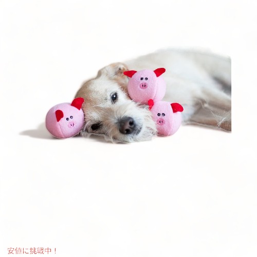 ぬいぐるみ犬おもちゃ Zippypaws Zp1 ミニぬいぐるみセット アメリカーナがお届け Liceochiloe Cl