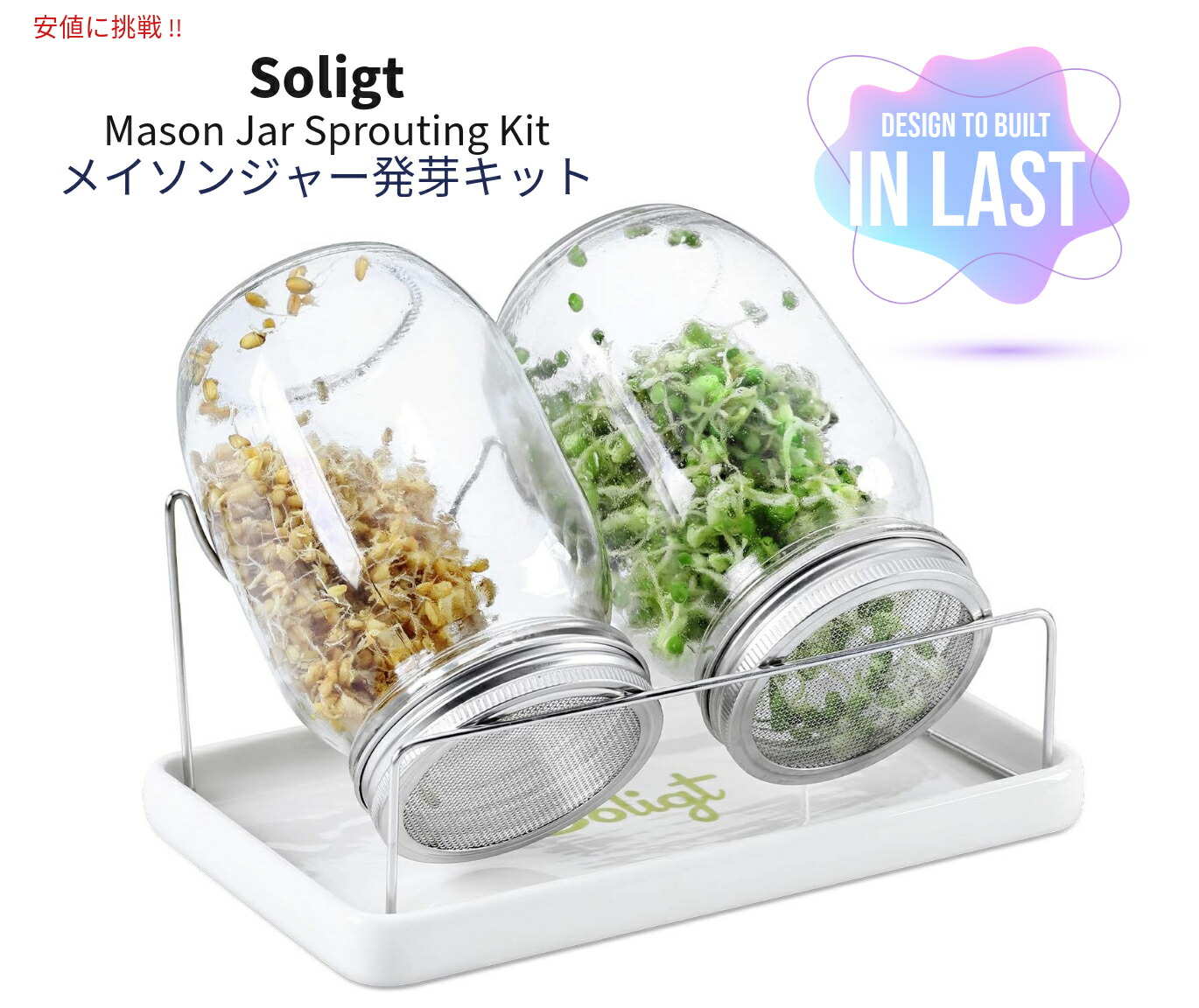 【楽天市場】メイソンジャー発芽キット SOLIGT Complete Mason Jar Sprouting Kit 広口クォート発芽ジャー
