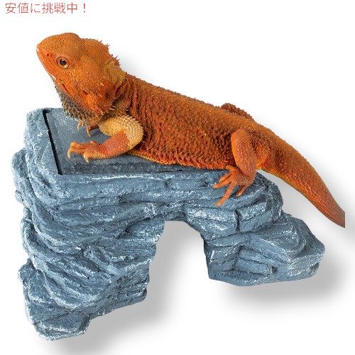 タイ お守り 9尾のトカゲ ヤモリ ギャンブル ビジネス運 現地購入 タイ お守り 9尾のトカゲ ヤモリ ギャンブル ビジネス運 現地
