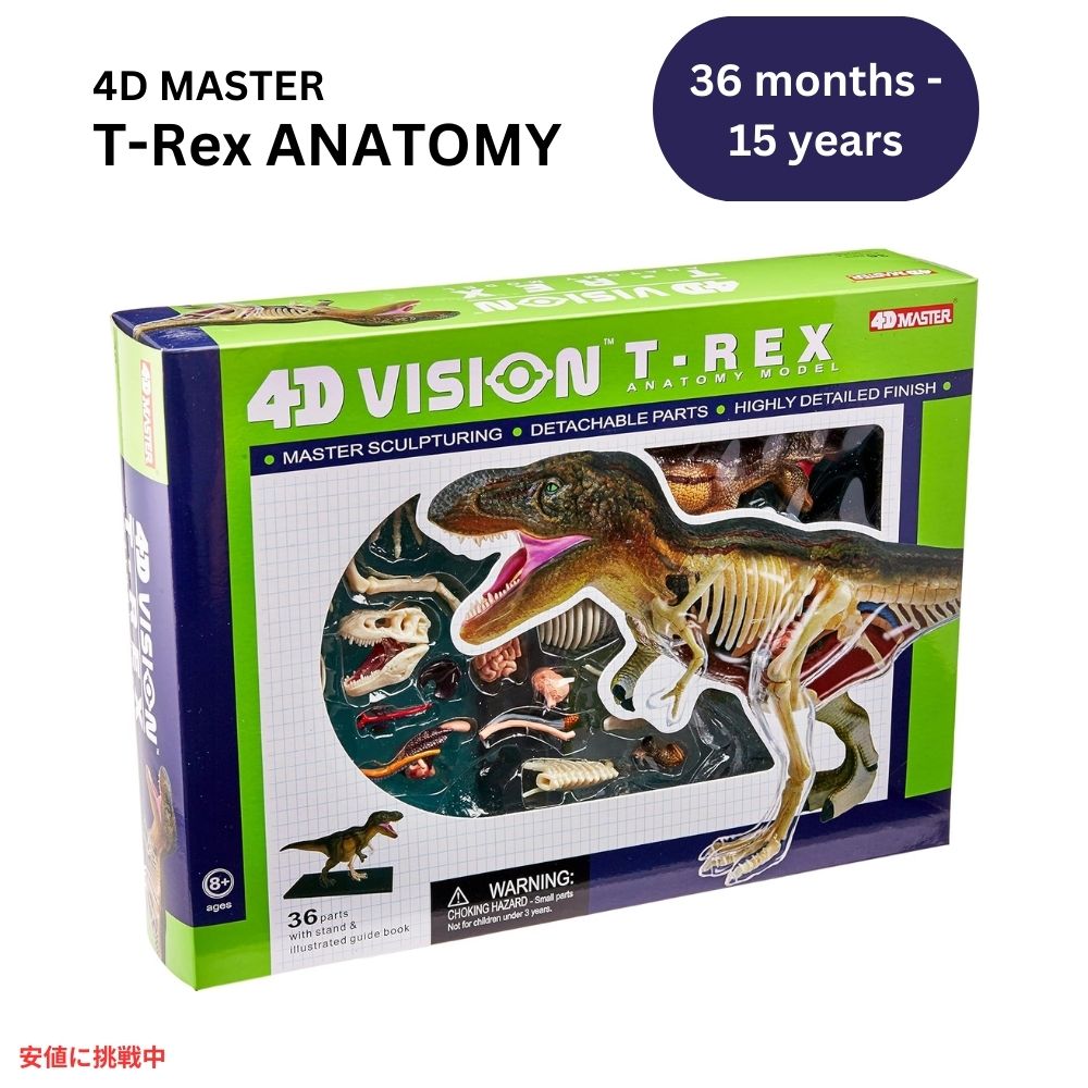 楽天市場】4Dビジョン ワニ解剖模型 4D Vision Crocodile Anatomy Mode 
