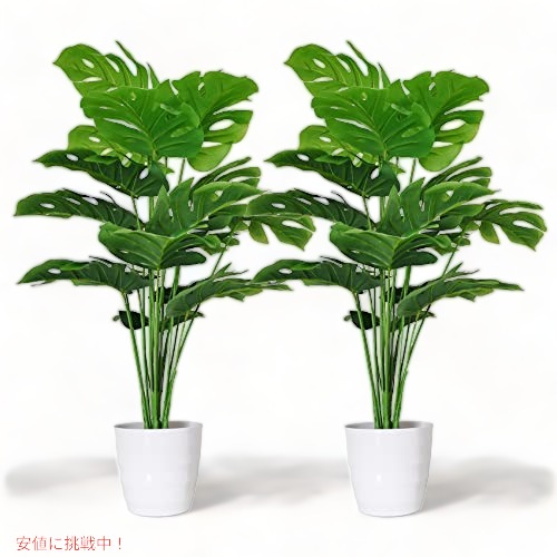 【最大2000円クーポン 7/26(日)01:59まで】SAJANDAS 人工モンステラ デリシオサ プラント 2個セット 28インチ|アメリカーナ Americana