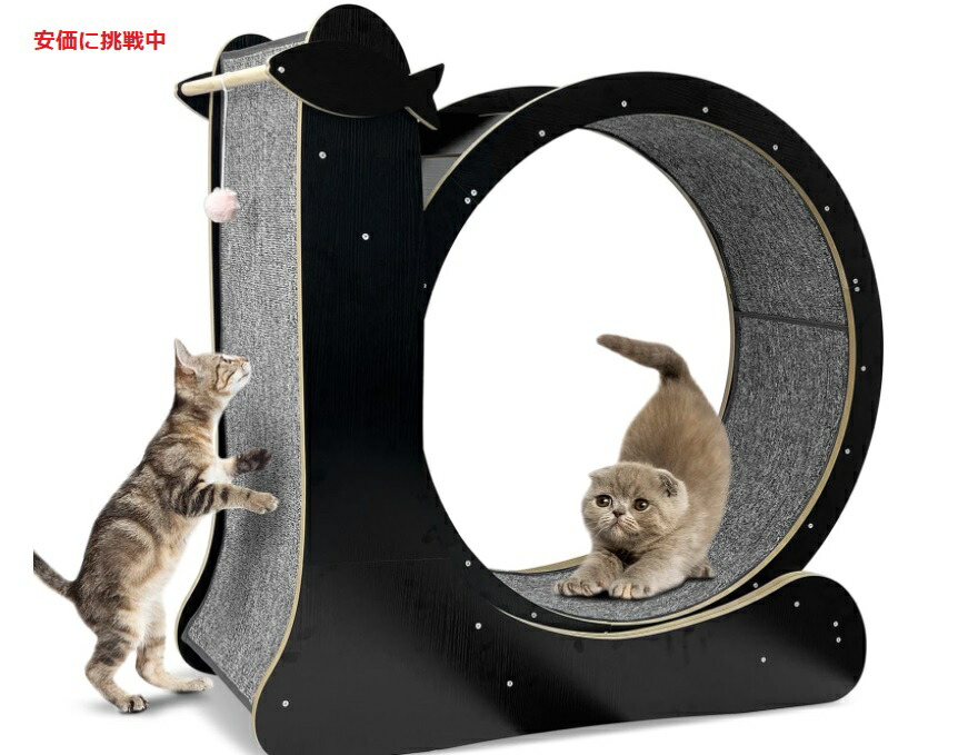 楽天市場】ワンファストキャット ONEFASTCAT 猫用 Cat Exercise
