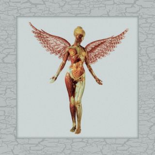 【国内盤CD】【新品】ニルヴァーナ ／ イン・ユーテロ - 30周年記念スーパー・デラックス・エディション[CD][5枚組][初回出荷限定盤(完全生産限定盤 ／ 発売30周年記念 ／ 輸入盤国内仕様)]【K2023/11/15発売】｜あめりかん・ぱい