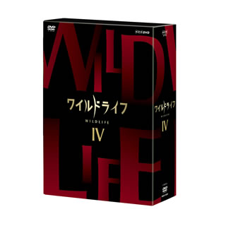 【国内盤DVD】【新品】ワイルドライフ DVD-BOXIV [3枚組]