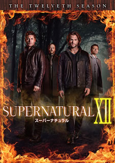 【国内盤DVD】【新品】SUPERNATURAL XII スーパーナチュラル トゥエルブ・シーズン コンプリート・ボックス[12枚組]