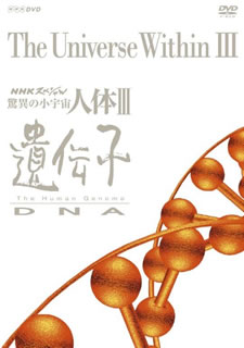 【国内盤DVD】【新品】NHKスペシャル 驚異の小宇宙 人体III 遺伝子 DVD BOX [6枚組]｜あめりかん・ぱい