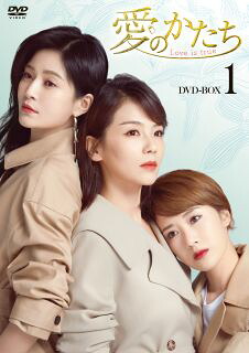 【国内盤DVD】【新品】愛のかたち～Love is true～ DVD-BOX1[10枚組]【D2023/9/6発売】