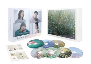 【国内盤DVD】【新品】いちばんすきな花-ディレクターズカット版- DVD-BOX[7枚組]【D2024/6/14発売】｜あめりかん・ぱい