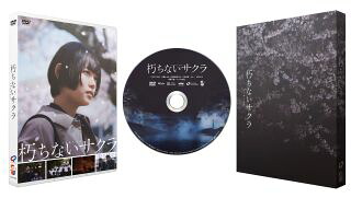 【国内盤DVD】【新品】朽ちないサクラ【D2024/12/04発売】