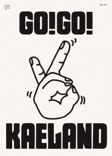 【国内盤ブルーレイ】【新品】木村カエラ ／ KAELA presents GO!GO!KAELAND 2024-20years anniversary-【BM2025/5/28発売】
