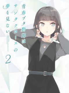 【国内盤ブルーレイ】【新品】青春ブタ野郎はサンタクロースの夢を見ない 2[初回出荷限定]【B2025/10/22発売】