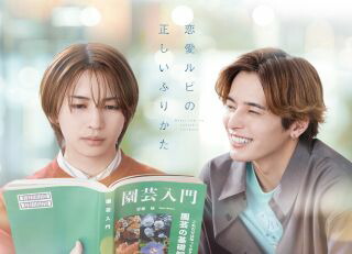 【国内盤DVD】【新品】恋愛ルビの正しいふりかた DVD BOX[2枚組]【D2025/12/10発売】