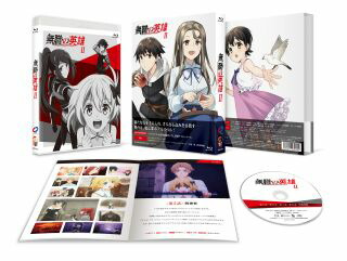 【国内盤ブルーレイ】【新品】無職の英雄～別にスキルなんか要らなかったんだが～ 第2巻【B2026/2/27発売】