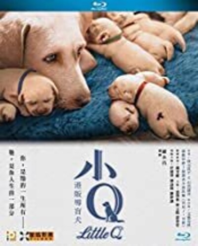 【輸入盤ブルーレイ】【新品】Little Q (2019)｜あめりかん・ぱい