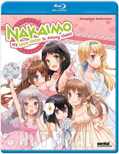 最新情報 楽天市場 輸入盤ブルーレイ Nakaimo Complete Collection 2枚組 ｱﾆﾒ この中に1人 妹がいる あめりかん ぱい 気質アップ Lexusoman Com