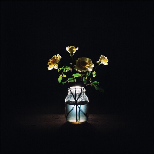 【輸入盤LPﾚｺｰﾄﾞ】【新品】Billy Strings / Renewal (180gram Vinyl)【LP2021/10/8発売】