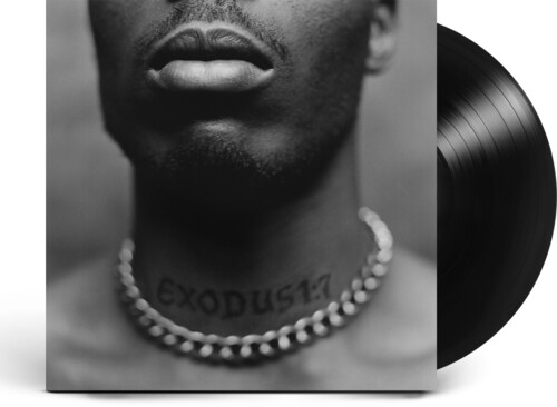 【輸入盤LPﾚｺｰﾄﾞ】【新品】DMX / Exodus【LP2021/11/12発売】(ﾃﾞｨｰｴﾑｴｯｸｽ)