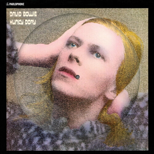 【輸入盤LPﾚｺｰﾄﾞ】【新品】David Bowie / Hunky Dory (Picture Disc) (ﾘﾏｽﾀｰ盤)【LP2022/1/7発売】(ﾃﾞヴｨｯﾄﾞﾎﾞｳｲ) 4,679円