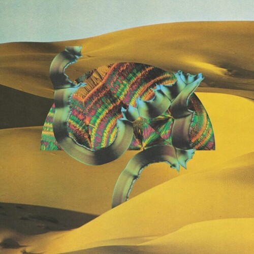 【輸入盤LPﾚｺｰﾄﾞ】【新品】Django Django / Django Django: 10th Anniversary Edition (Black)【LP2022/6/3発売】
