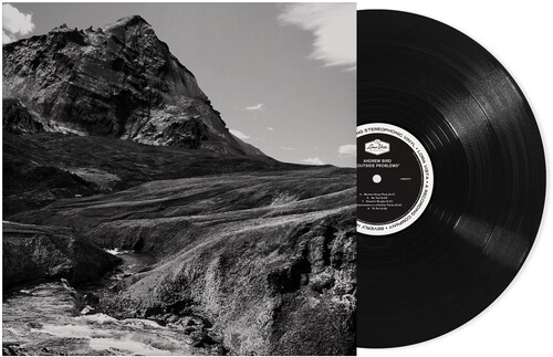 【輸入盤LPレコード】【新品】Andrew Bird / Outside Problems【LP2023/11/17発売】