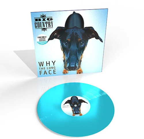 【輸入盤LPﾚｺｰﾄﾞ】【新品】BIG COUNTRY / WHY THE LONG FACE (Colored Vinyl) (Limited Edition) (Turquoise)【LP2024/04/26発売】(ビッグ・カントリー)｜あめりかん・ぱい
