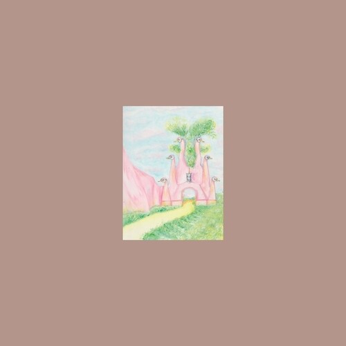【輸入盤LPﾚｺｰﾄﾞ】【新品】ACCHIAPPASHPIRT / NINULLA【LP2025/2/7発売】
