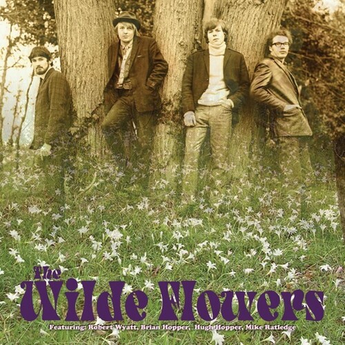 【輸入盤LPﾚｺｰﾄﾞ】【新品】WILDE FLOWERS / WILDE FLOWERS【LP2024/12/06発売】