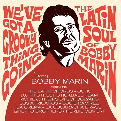 【輸入盤LPﾚｺｰﾄﾞ】【新品】VA / WE'VE GOT A GROOVY THING GOING: LATIN SOUL【LP2024/09/27発売】 7,136円