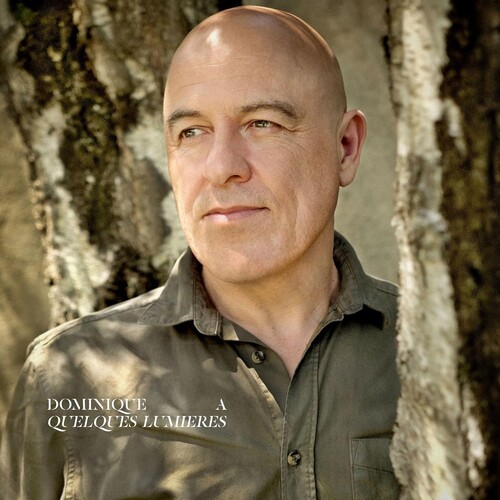 【輸入盤LPﾚｺｰﾄﾞ】【新品】DOMINIQUE A / QUELQUES LUMIERES【LP2024/11/22発売】