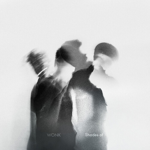 【輸入盤LPﾚｺｰﾄﾞ】【新品】WONK / SHADES OF【LP2024/12/27発売】｜あめりかん・ぱい