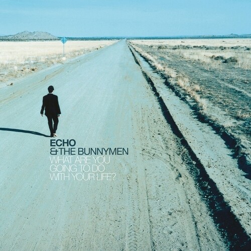 【輸入盤LPﾚｺｰﾄﾞ】【新品】ECHO & THE BUNNYMEN / WHAT ARE YOU GOING TO DO WITH YOUR: 25TH ANNIV【LP2025/5/23発売】(エコー＆ザ・バニーメン)