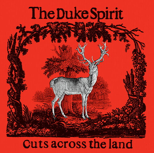 【輸入盤LPﾚｺｰﾄﾞ】【新品】DUKE SPIRIT / CUTS ACROSS THE LAND - DELUXE (Colored Vinyl) (Red) (Yellow)【LP2025/6/6発売】