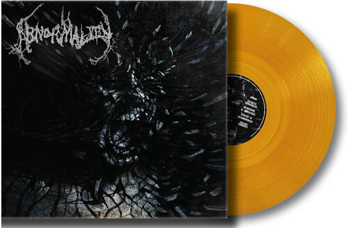 【輸入盤LPﾚｺｰﾄﾞ】【新品】ABNORMALITY / MECHANISMS OF OMNISCIENCE【LP2025/4/11発売】