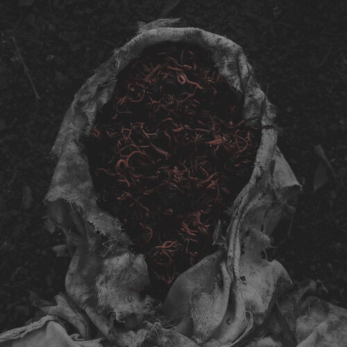 【輸入盤LPﾚｺｰﾄﾞ】【新品】GORRCH / STILLAMENTUM【LP2026/3/6発売】