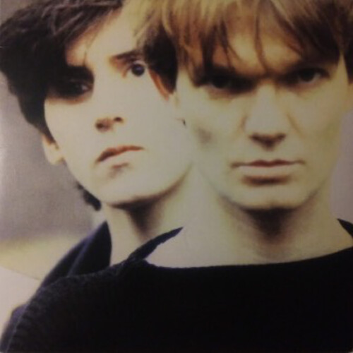 【輸入盤LPﾚｺｰﾄﾞ】【新品】HOUSE OF LOVE / HOUSE OF LOVE - TRANPARENT VINYL (Clear Vinyl)【LP2026/3/6発売】