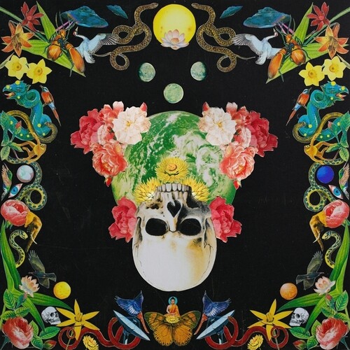 【輸入盤LPﾚｺｰﾄﾞ】【新品】HIPPIE DEATH CULT / HELICHRYSUM (Colored Vinyl) (Splatter)【LP2026/3/27発売】｜あめりかん・ぱい