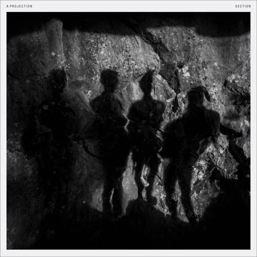 【輸入盤LPﾚｺｰﾄﾞ】【新品】PROJECTION / SECTION (Colored Vinyl) (Limited Edition) (White)【LP2026/2/6発売】