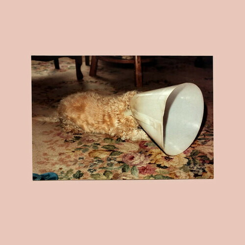 【輸入盤LPﾚｺｰﾄﾞ】【新品】LANGKAMER / NO - WHITE VINYL【LP2026/3/20発売】